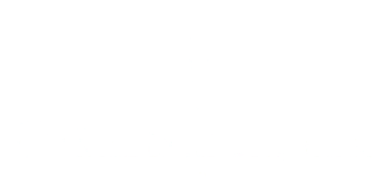 Nuevo Logo blanco Drachejades