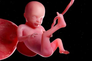 Placenta Previa Cuidados, Tipos y Parto Seguro